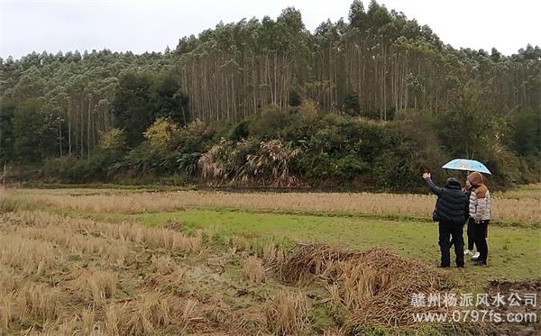 深圳市陈老师带着爱徒寻龙点穴